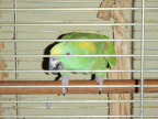 P7040228