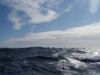 P8170331