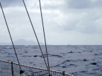 PA030014