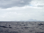 PA030017