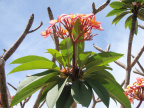 P3010028