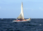 P3310027