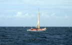 P3310029