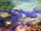 P4030046