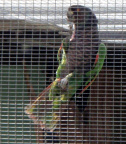 P4160056