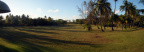 Caneel bay gras