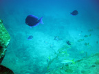P5230088
