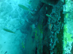 P5230091