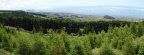 Berg top 4 (2391bezoeken) Berg top 4