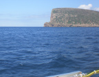 Reis 2008-2009