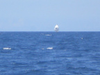 P7190011