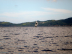 P7190013