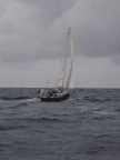 P8010233
