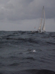 P8010232