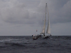 P8010234