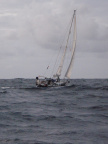 P8010236