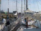 P8170037