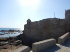 DSCN0160