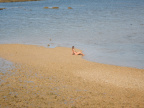 DSCN0163