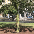 IMG 3364
