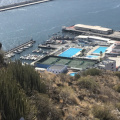 IMG 3371