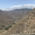 IMG 3372