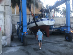 IMG 3460