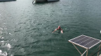 IMG 3782
