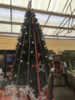 IMG 4279