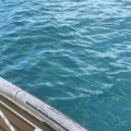 IMG 4669