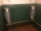 IMG 4750