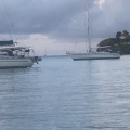 IMG 4761
