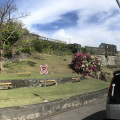 IMG 4766