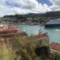 IMG 4768