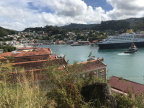 IMG 4768