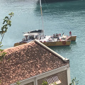 IMG 4769