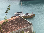 IMG 4769