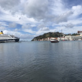 IMG 4773