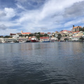 IMG 4774
