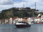 IMG 4775
