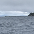 IMG 4799
