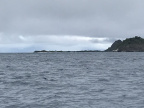 IMG 4799