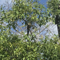 IMG 4864