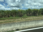 IMG 4923
