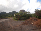 DSCN0830