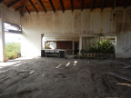 DSCN0833