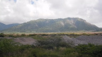 DSCN0847