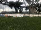 IMG 4789