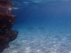 P9290850