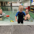 IMG 4198